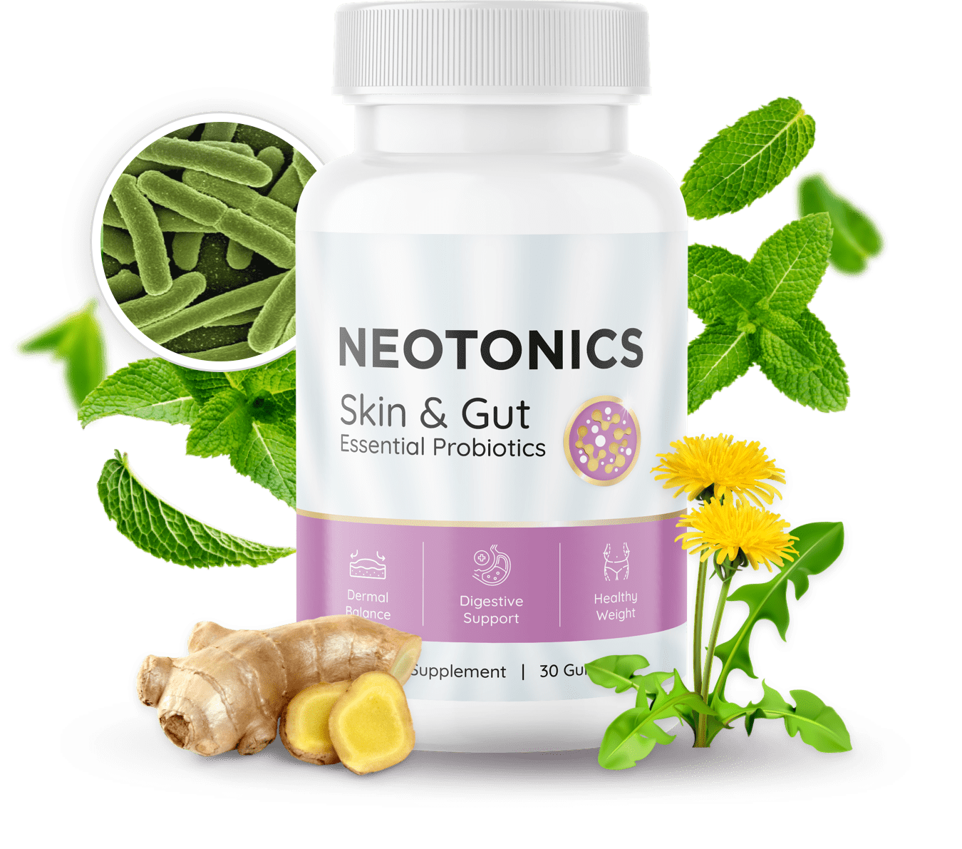 Neotonics Supplement